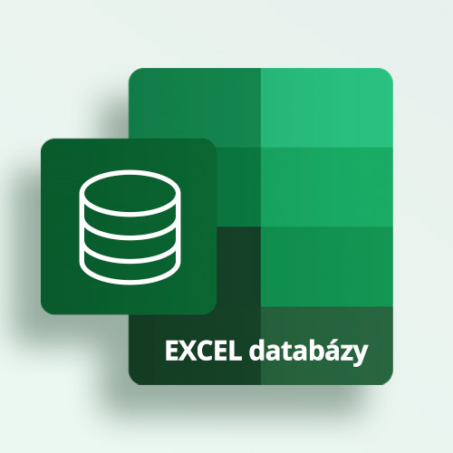 Microsoft Excel Databázy I.