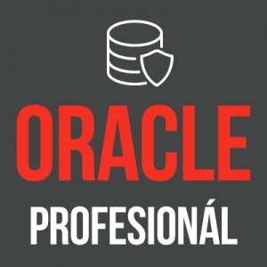 Balík Oracle profesionál