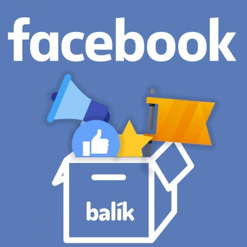 Balík Facebook Social manažér